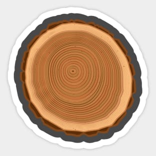 Tree Rings Nature Sticker